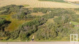 Photo 3: 55328 RRG 265: Rural Sturgeon County Rural Land/Vacant Lot for sale : MLS®# E4283712