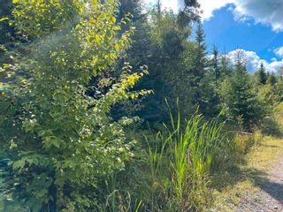 Photo 5: Lot 2 MacLean Road in Hunters Mountain: 209-Victoria County / Baddeck Vacant Land for sale (Cape Breton)  : MLS®# 202317840