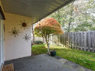 Photo 15: 3 2030 Robb Ave in COMOX: CV Comox (Town of) Row/Townhouse for sale (Comox Valley)  : MLS®# 831085