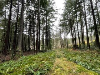 Photo 12: 1805 CAPE Drive: Bowen Island Land for sale in "The Cape on Bowen" : MLS®# R2665278
