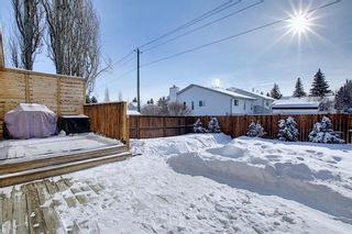 Photo 46: 119 Shawinigan Drive SW in Calgary: Shawnessy Detached for sale : MLS®# A1068163