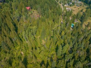 Photo 8: 2009 HAPPY VALLEY ROAD in Rossland: Vacant Land for sale : MLS®# 2472960