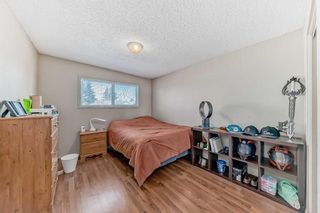Photo 17: 1709 50 Street SE in Calgary: Forest Lawn Semi Detached (Half Duplex) for sale : MLS®# A2115014
