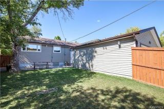 Photo 19: 698 Jackson Avenue in Winnipeg: Residential for sale (1B)  : MLS®# 1720491
