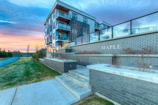 Main Photo: 303 383 Smith Street NW in Calgary: University District Apartment for sale : MLS®# A2120629