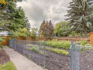 Photo 42: 219 SILVER CREST Road NW in Calgary: Silver Springs Detached for sale : MLS®# A1015541