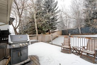 Photo 37: 4815 Norquay Drive NW in Calgary: North Haven Detached for sale : MLS®# A1183434