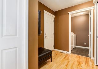 Photo 18: 14 Evansbrooke Place NW in Calgary: Evanston Detached for sale : MLS®# A1186837