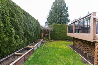 Photo 15: 1432 128 Street in Surrey: Crescent Bch Ocean Pk. House for sale (South Surrey White Rock)  : MLS®# R2666618