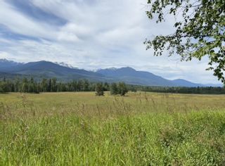 Photo 15: DL 1132 TELKWA HIGH Road in Smithers: Smithers - Rural Land for sale (Smithers And Area)  : MLS®# R2708512