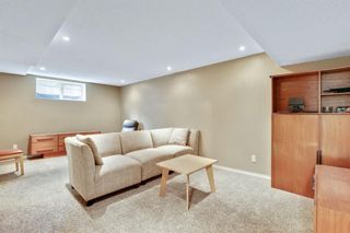 Photo 33: 8 Maplewood Estates: Strathmore Detached for sale : MLS®# A1232970