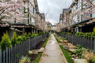 Photo 36: 38 8138 204 Street in Langley: Willoughby Heights Townhouse for sale in "ASHBURY & OAK" : MLS®# R2560936