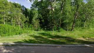 Photo 4: Lot 5 44 Avenue Close: Alix Residential Land for sale : MLS®# A2106668