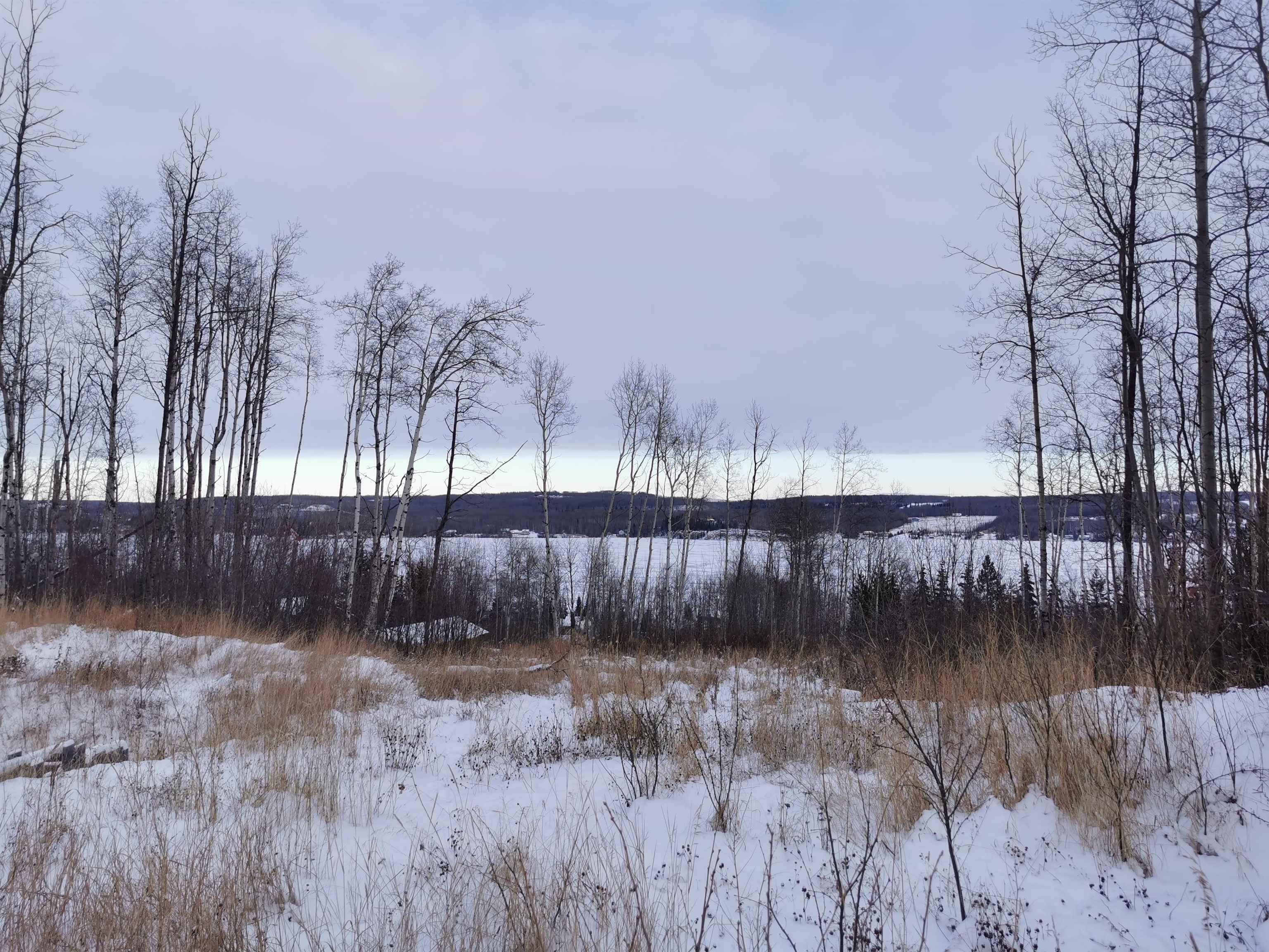 Main Photo: 13195 PARK FRONTAGE Road in Charlie Lake: Lakeshore Land for sale in "CHARLIE LAKE" (Fort St. John)  : MLS®# R2741499