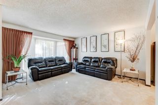 Photo 9: 8139 Hunterview Drive NW in Calgary: Beddington Heights Detached for sale : MLS®# A1259362