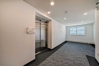 Photo 22: 2419 681 Savanna Boulevard NE in Calgary: Saddle Ridge Apartment for sale : MLS®# A2142775