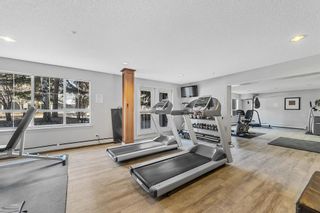 Photo 20: 233 35 Richard Court SW in Calgary: Lincoln Park Apartment for sale : MLS®# A2038444