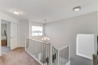 Photo 18: 112 NOLANLAKE Cove NW in Calgary: Nolan Hill Detached for sale : MLS®# C4284849