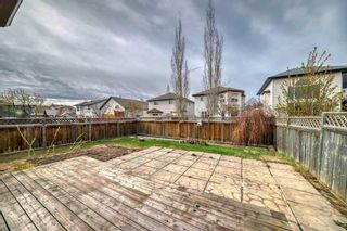 Photo 17: 168 Coventry Circle NE in Calgary: Coventry Hills Detached for sale : MLS®# A2130015
