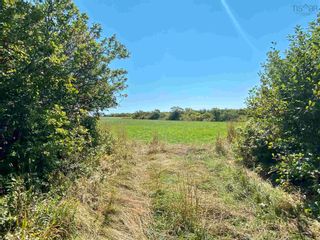 Photo 16: 11.6 acres East Tracadie Road in East Tracadie: 302-Antigonish County Vacant Land for sale (Highland Region)  : MLS®# 202209014