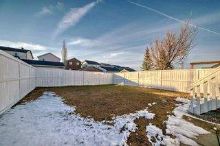 Photo 39: 17 Sage Hill Court NW in Calgary: Sage Hill Detached for sale : MLS®# A2124017