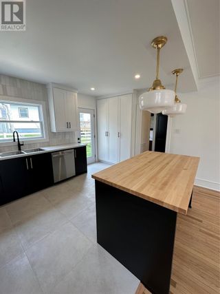 Photo 21: 380 Hamilton Avenue Extension in St. John's: House for sale : MLS®# 1258598
