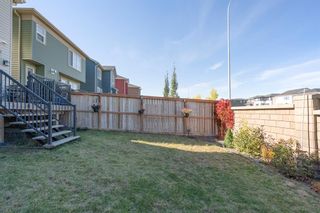 Photo 39: 167 Evanscrest Way NW in Calgary: Evanston Detached for sale : MLS®# A2003359
