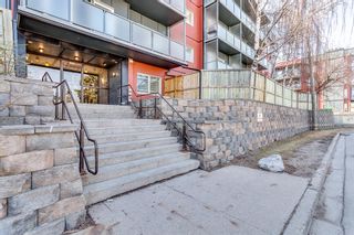 Photo 3: 205 335 Garry Crescent NE in Calgary: Greenview Apartment for sale : MLS®# A2044716