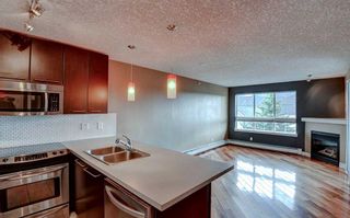 Photo 4: 449 35 Richard Court SW in Calgary: Lincoln Park Apartment for sale : MLS®# A2129003