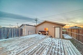 Photo 42: 97 Martinvalley Crescent NE in Calgary: Martindale Detached for sale : MLS®# A2124027