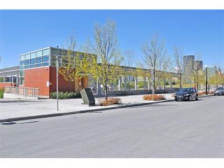 Photo 25: 302 333 5 Avenue NE in Calgary: Crescent Heights Condo for sale : MLS®# C4024075