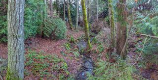 Photo 6: Lot 7 Hillview Rd in Lantzville: Na Upper Lantzville Land for sale (Nanaimo)  : MLS®# 961360