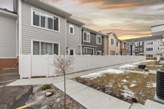 Photo 3: 202 11428 52 Street NE in Calgary: Skyview Ranch Row/Townhouse for sale : MLS®# A2025771