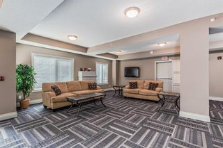 Photo 23: 212 3810 43 Street SW in Calgary: Glenbrook Apartment for sale : MLS®# A2044764