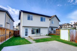 Photo 28: 95 Cranberry Place SE in Calgary: Cranston Detached for sale : MLS®# A1217870