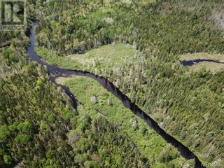 Photo 29: Lot B Canoose Stream Road in Canoose: Vacant Land for sale : MLS®# NB090910