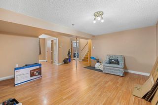 Photo 11: 119 Dovercliffe Way SE in Calgary: Dover Detached for sale : MLS®# A2116445