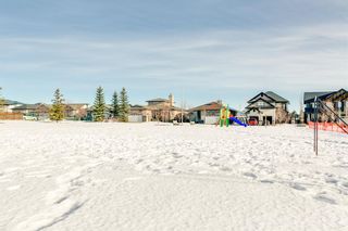 Photo 34: 320 Sunset Way: Crossfield Detached for sale : MLS®# A1061148