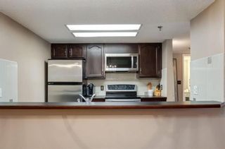 Photo 7: 506 2011 University Drive NW in Calgary: University Heights Apartment for sale : MLS®# A2129025