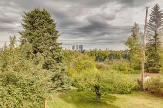 Photo 48: 4559 Stanley Drive SW in Calgary: Elboya Detached for sale : MLS®# A2081123