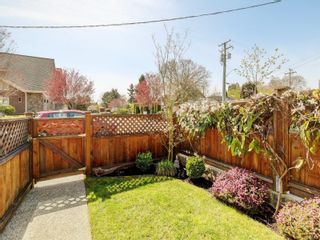 Photo 20: 4 1680 Ryan St in Victoria: Vi Oaklands Row/Townhouse for sale : MLS®# 899690