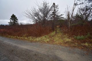 Photo 10: Lot 3 101 Highway in Plympton: Digby County Vacant Land for sale (Annapolis Valley)  : MLS®# 202306552