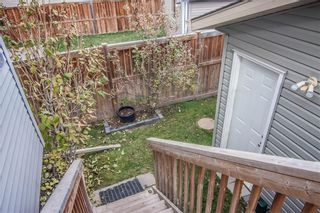 Photo 32: 259 CRANBERRY Place SE in Calgary: Cranston Detached for sale : MLS®# C4214402