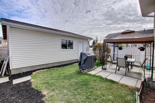Photo 28: 305 Martinwood Place NE in Calgary: Martindale Detached for sale : MLS®# A1038589