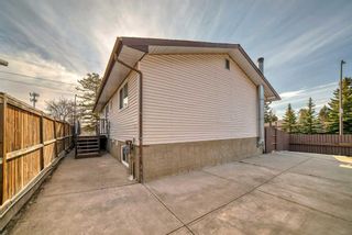 Photo 44: 2044 Pinetree Crescent NE in Calgary: Pineridge Detached for sale : MLS®# A2124958