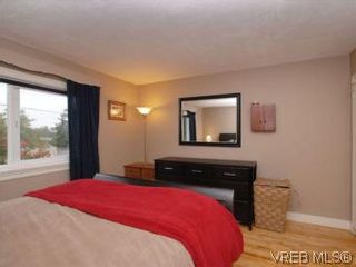 Photo 10: 843 Tulip Ave in VICTORIA: SW Marigold House for sale (Saanich West)  : MLS®# 554188