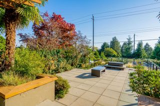 Photo 26: 2525 BELLEVUE Avenue in West Vancouver: Dundarave House for sale : MLS®# R2824253