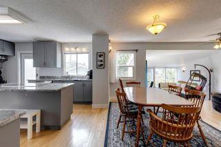 Photo 7: 401 51 Avenue SW in Calgary: Windsor Park Detached for sale : MLS®# A1231521