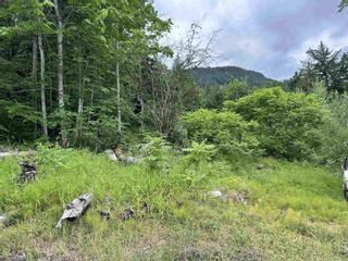 Photo 8: 22793 ROSS ROAD in Hope: Vacant Land for sale : MLS®# R2845179