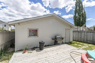 Photo 19: 273 Coville Circle NE in Calgary: Coventry Hills Detached for sale : MLS®# A2139517